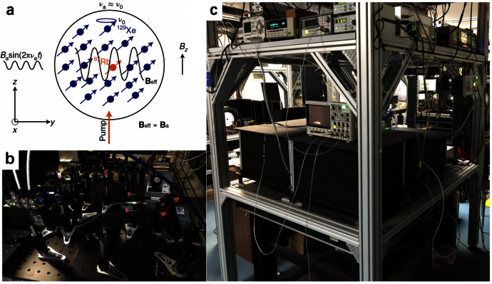 Experimental apparatus and the principle of the spin amplifier