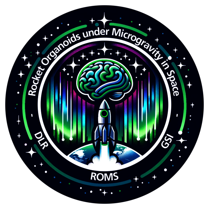 Logo of the ROMS experiment
