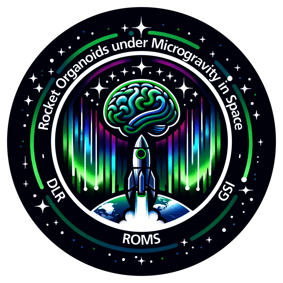 Logo des ROMS-Experiments